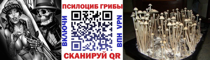 Галлюциногенные грибы MAGIC MUSHROOMS  Ангарск 